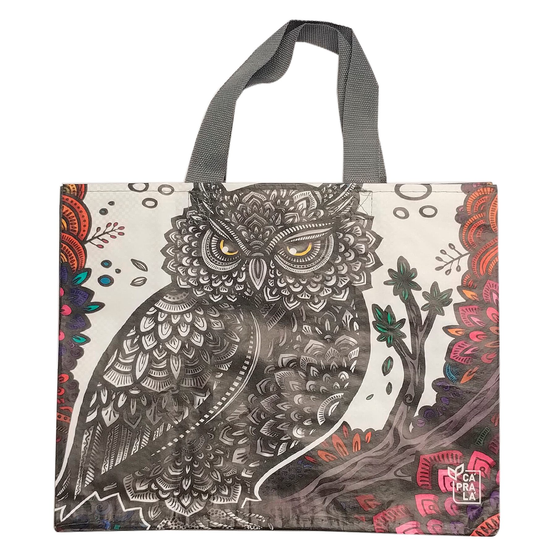 Sacola Retorn&aacute;vel C&aacute;PraL&aacute; 300x240x160mm