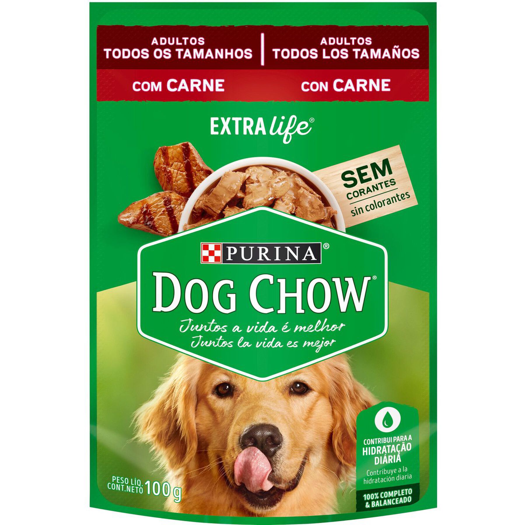 Ração Úmida Cães Carne Dog Chow Sachê 100g