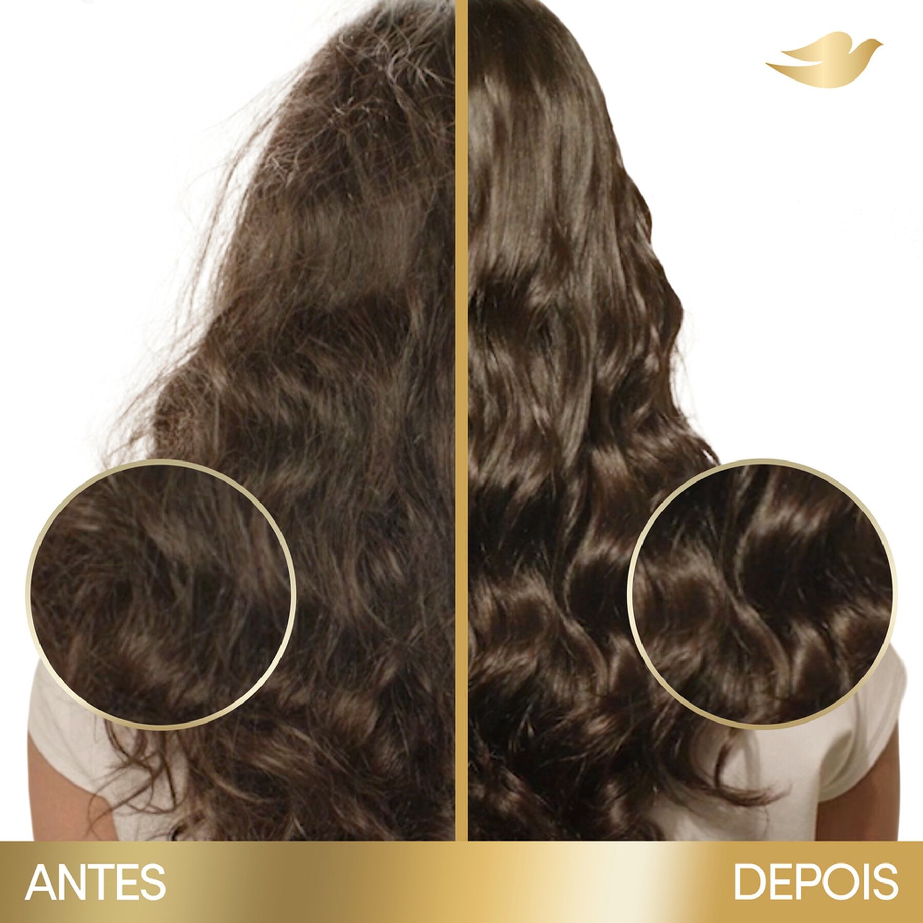 Shampoo Bond Intense Repair Dove Frasco 175ml