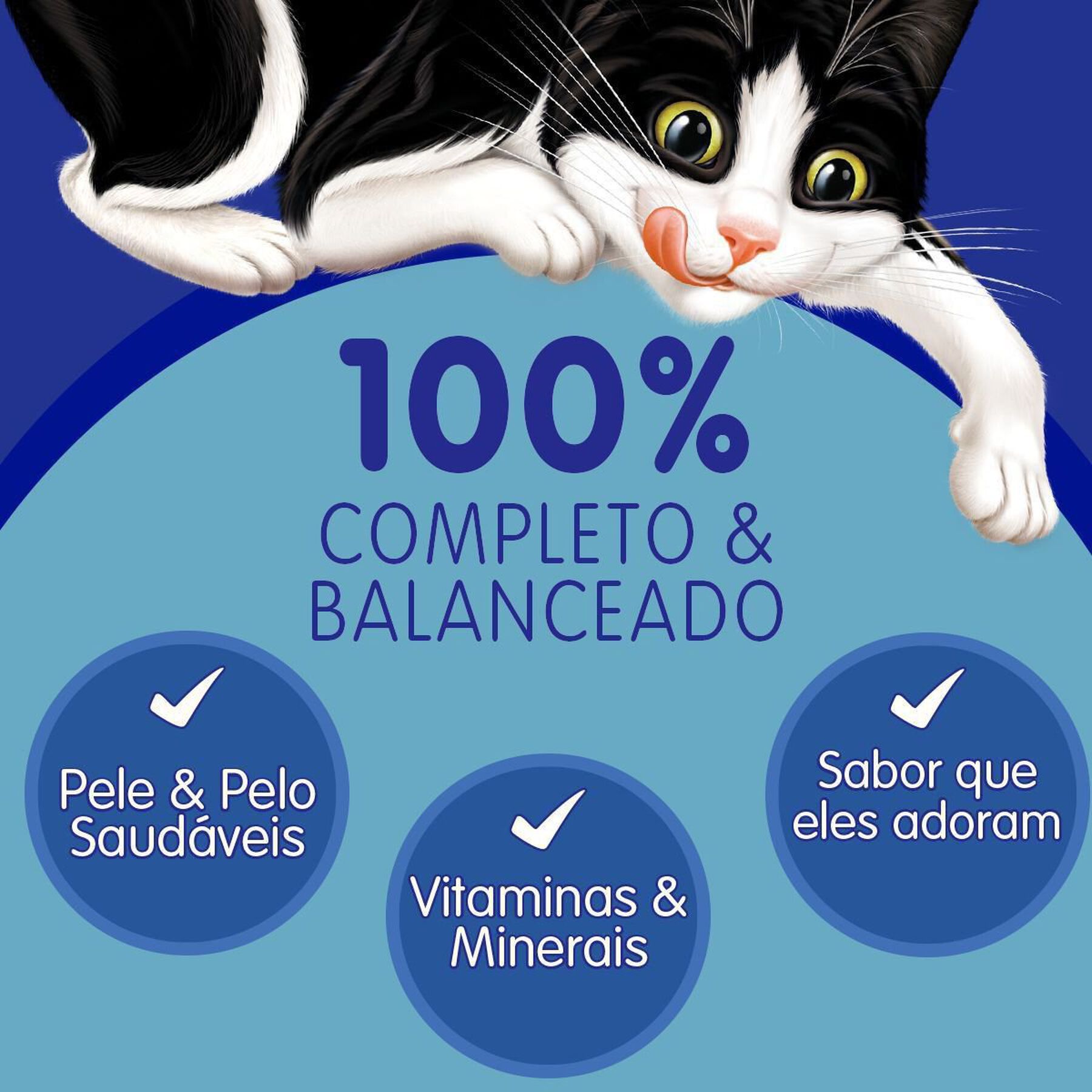 Alimento para Gatos Adultos Frango e Caranguejo Purina Felix Fantastic Mix Sach&ecirc; 85g