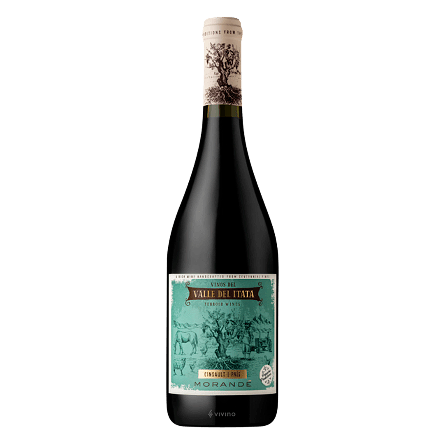 Vinho Tinto Cinsault - Pais Morand&eacute; Garrafa 750ml