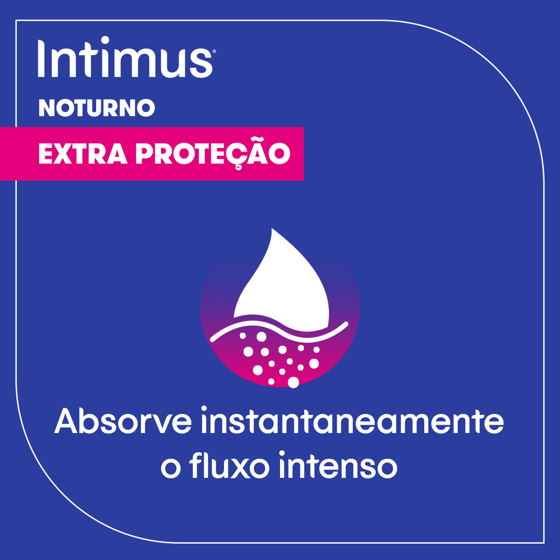 Absorvente com Abas Seca Noturno Intimus Pacote 30 Unidades Leve Mais Pague Menos