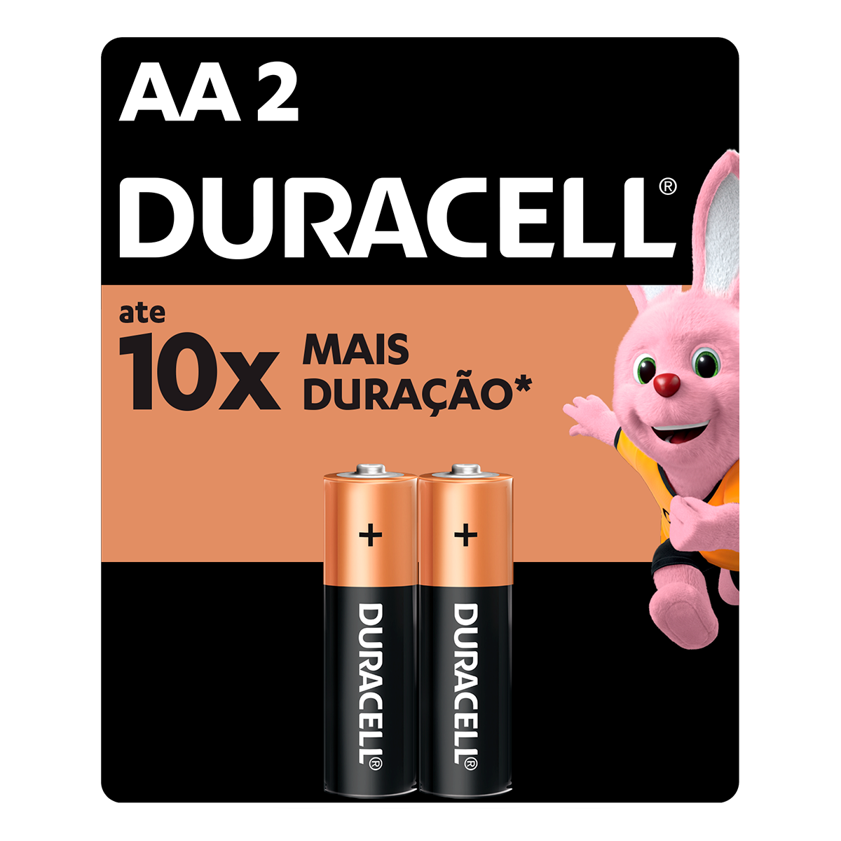 Pilha Alcalina Pequena AA Duracell C/2 Unidades