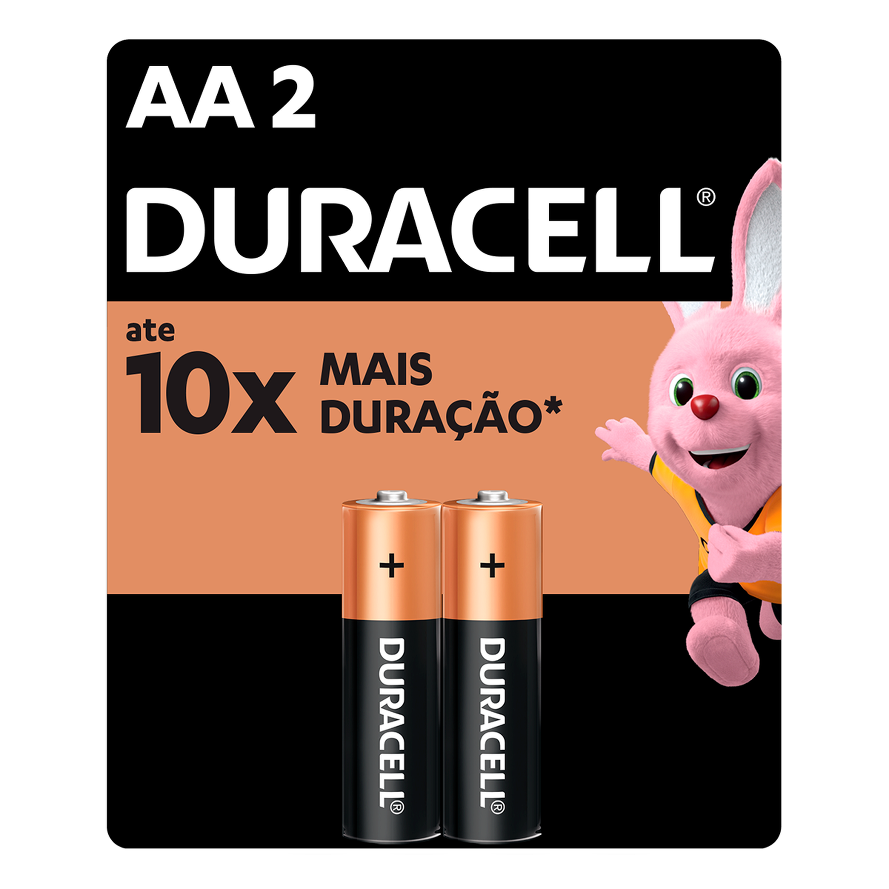 Pilha Alcalina Pequena AA Duracell C/2 Unidades