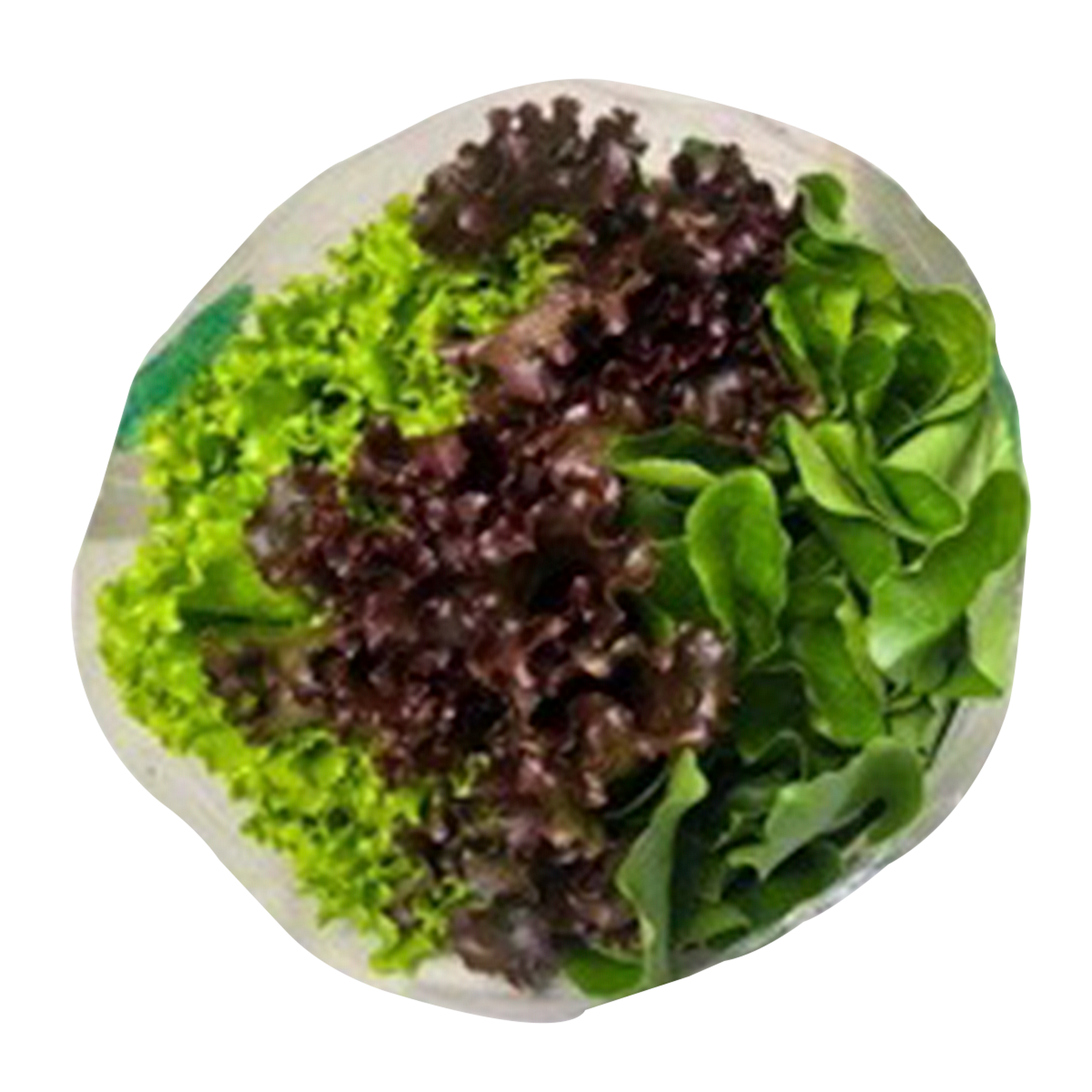 Salada Trio Landgraf Unidade