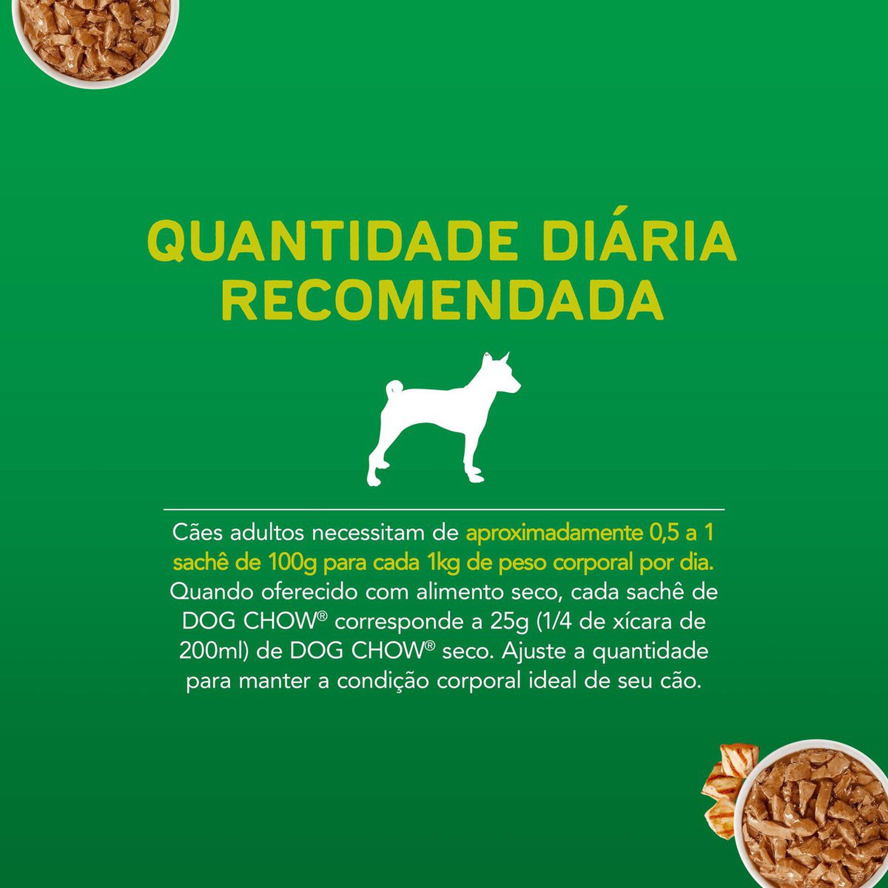 Alimento para Cães Adultos Frango Dog Chow Extra Life Purina Sachê 100g