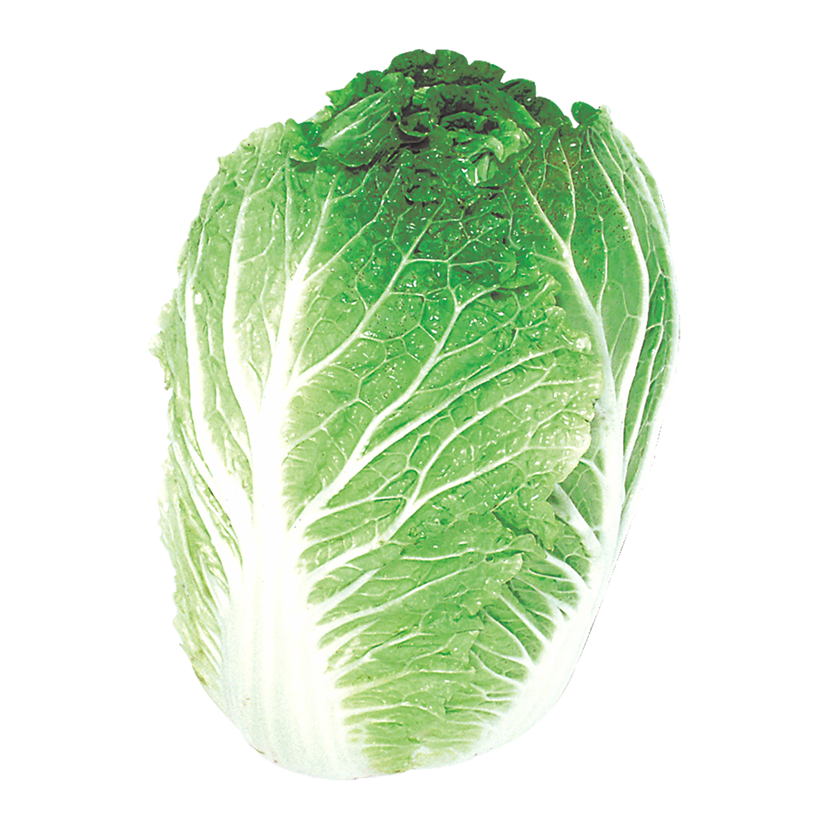 Acelga Mais Verde Unidade