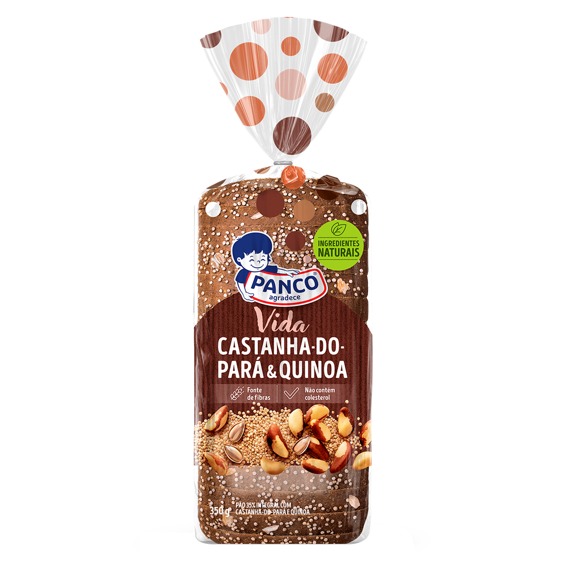 Pão de Forma Integral Castanha do Pará e Quinoa Vida Panco Pacote 350g