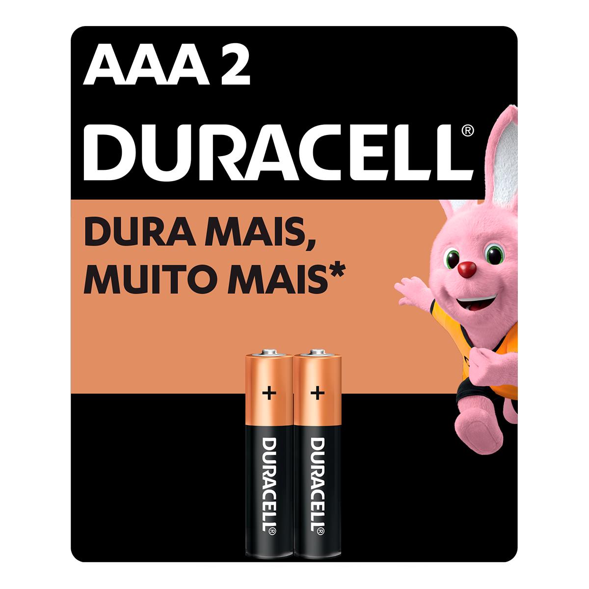 Pilha Alcalina Palito AAA Duracell C/2 Unidades
