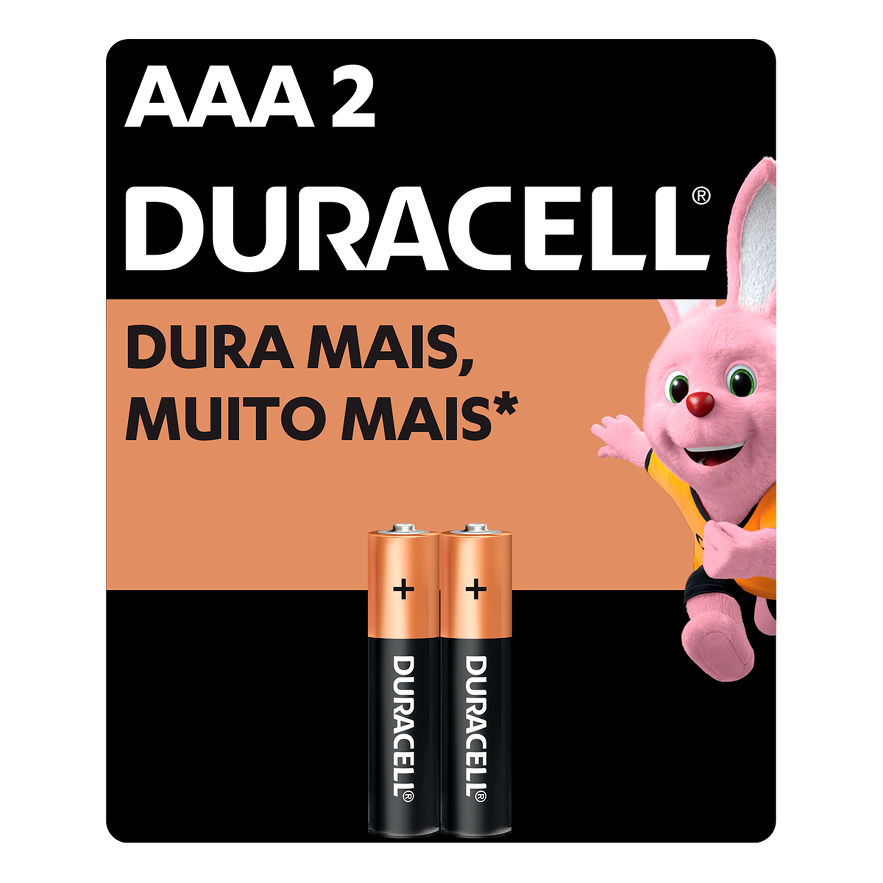 Pilha Alcalina Palito AAA Duracell C/2 Unidades