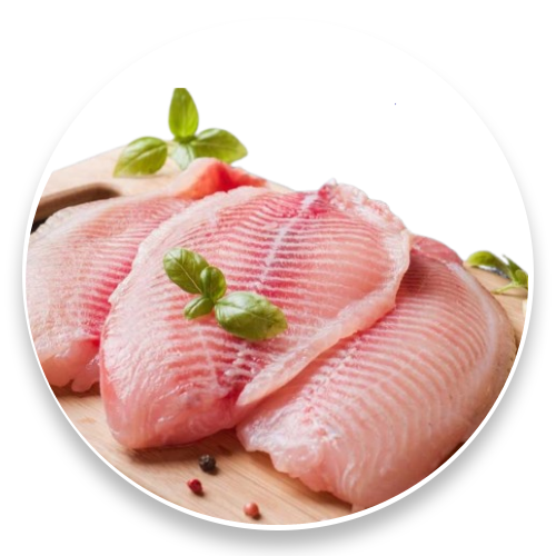 Festival de Pescados!